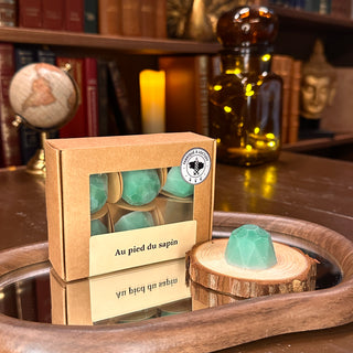 Fondants parfumés Au pied du sapin